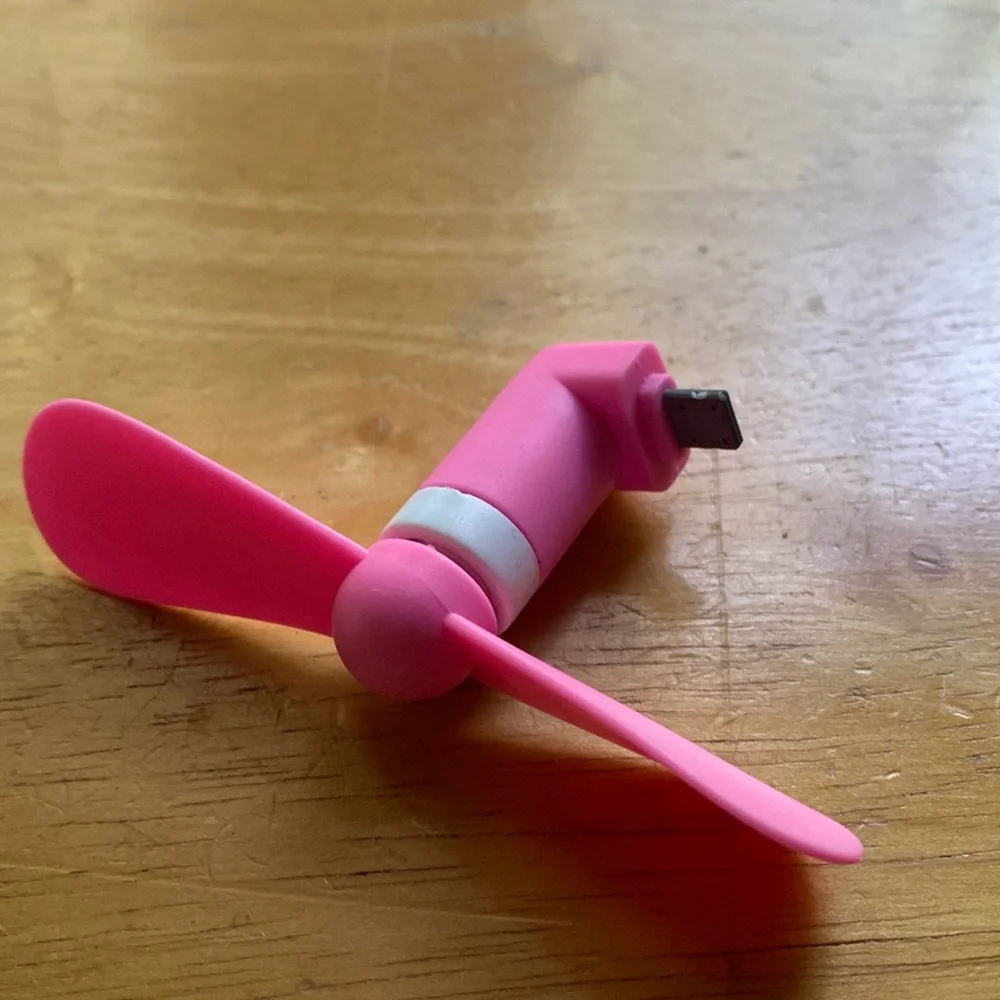 Apple mini portable